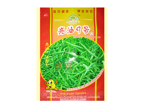 亮油9號 亮油9號